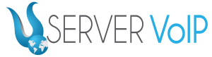 logo server voip 1